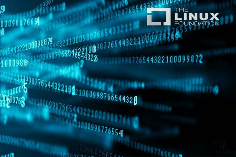 Linux Foundation объявил о новом проекте Open Programmable ...