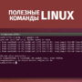 31 команда Linux, которую должен знать каждый пользователь Linux Mint (Ubuntu)