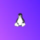 Green Linux — операционная система которой не страшны санкции