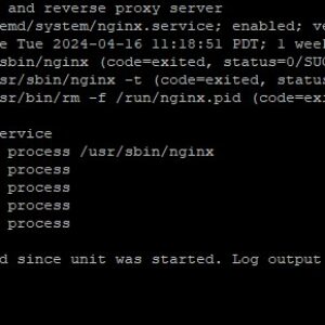 Сравнение веб-серверов Nginx, Apache и Caddy для малого сайта