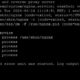 Сравнение веб-серверов Nginx, Apache и Caddy для малого сайта