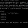 Сравнение веб-серверов Nginx, Apache и Caddy для малого сайта